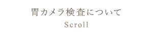 胃カメラ検査について