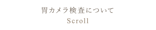 胃カメラ検査について